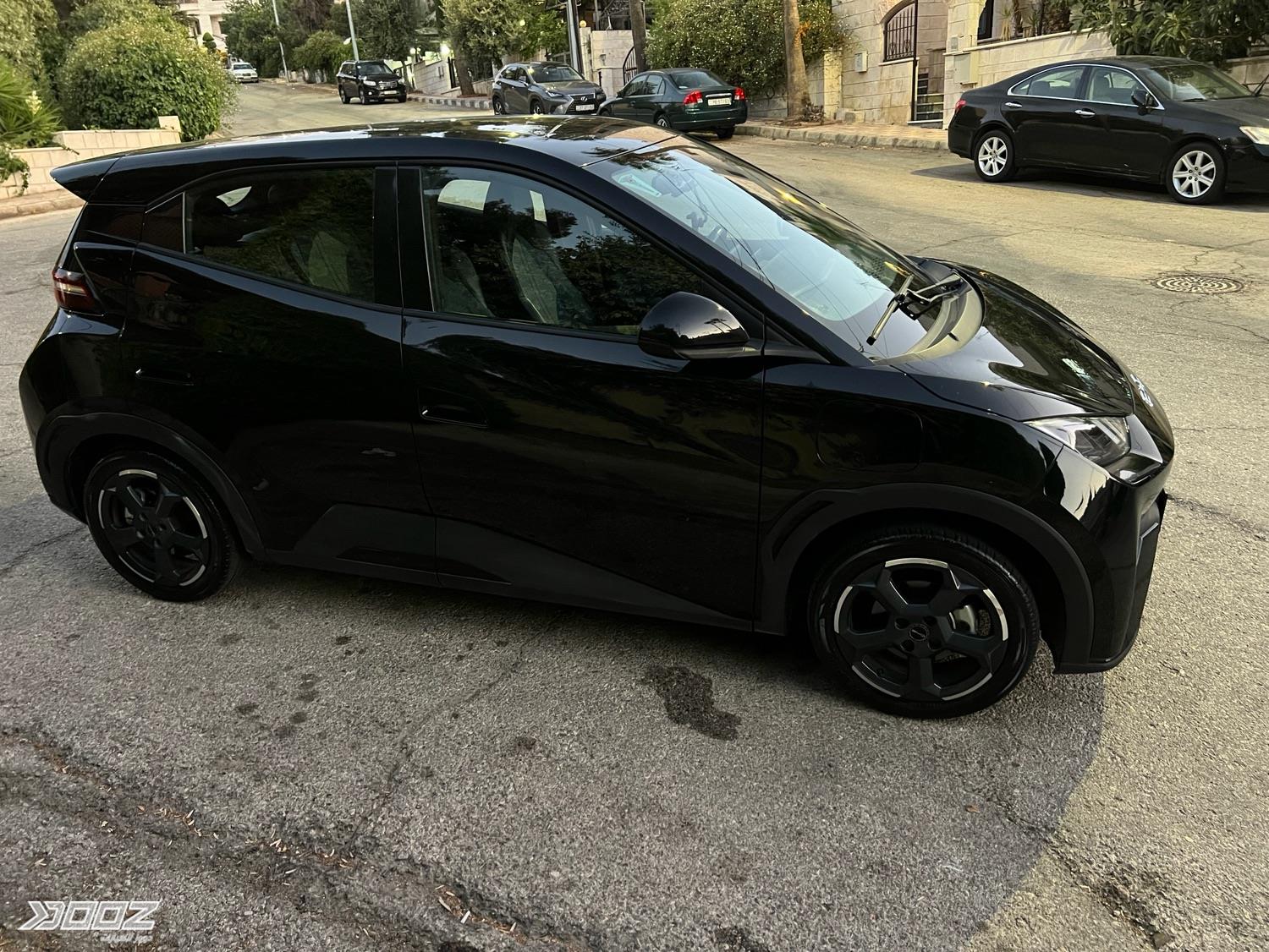 BYD Seagull 2023 for sale in Amman