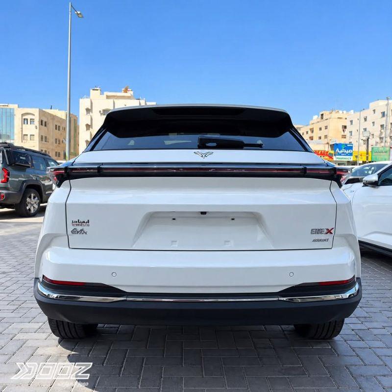 Neta X 2023 for sale in Amman