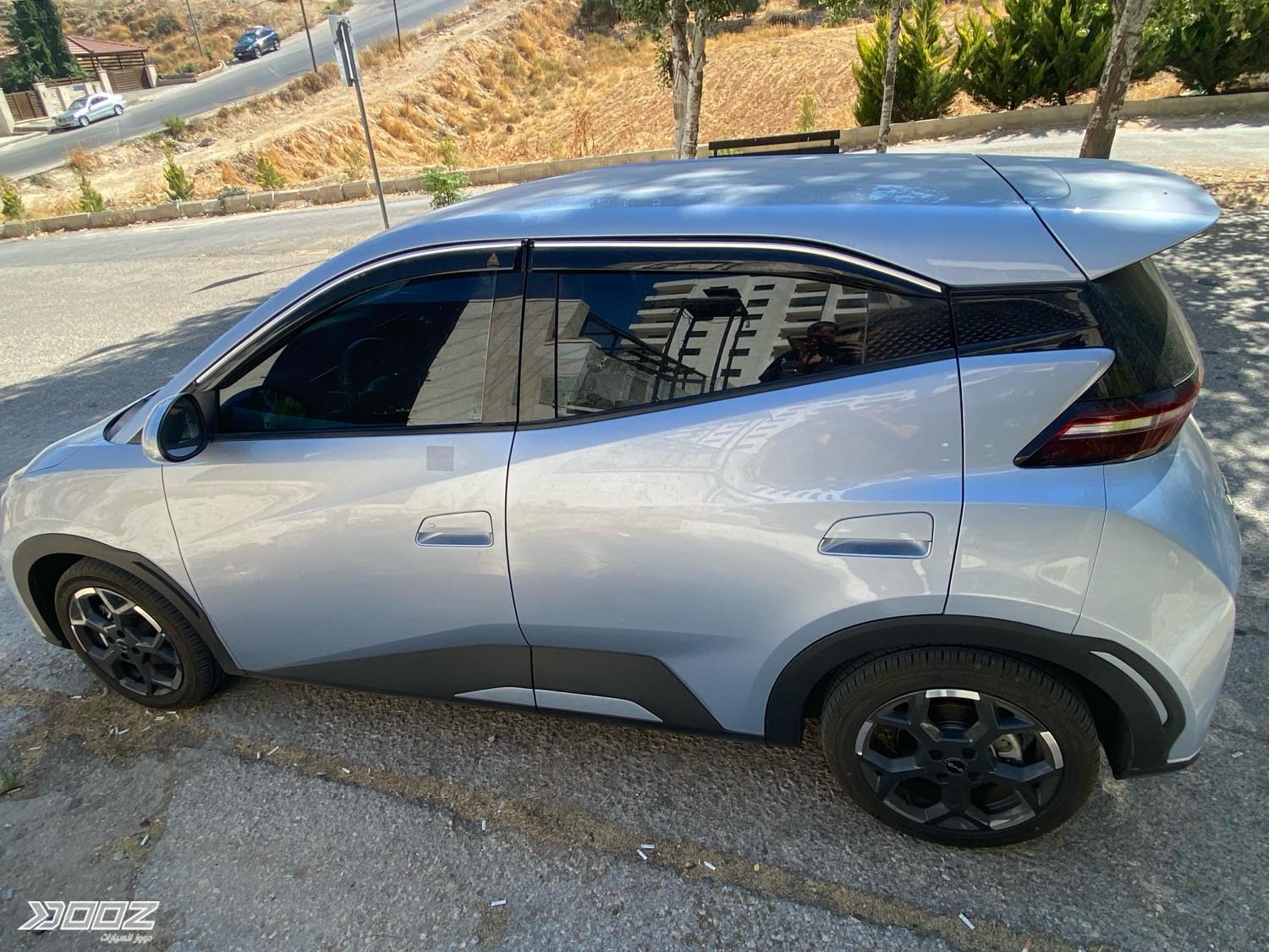BYD Seagull 2024 for sale in Amman