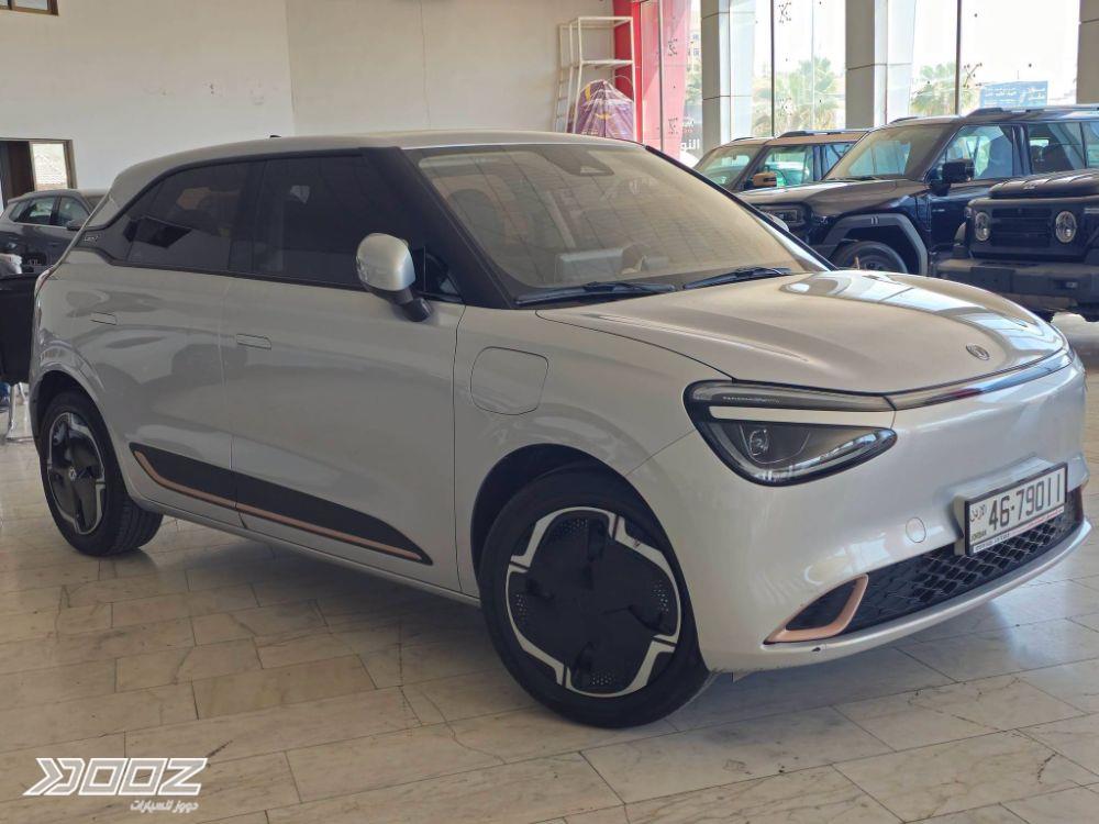 DongFeng BOX 2025 for sale in Zarqa-freezone