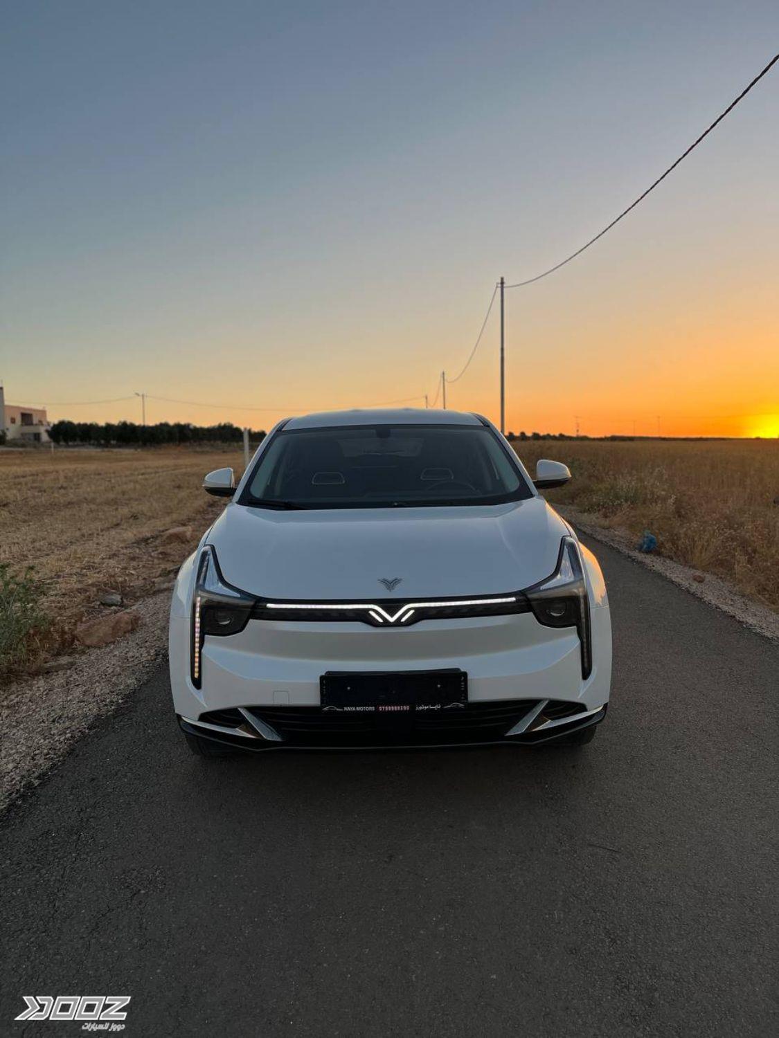 Neta U 2022 for sale in Irbid