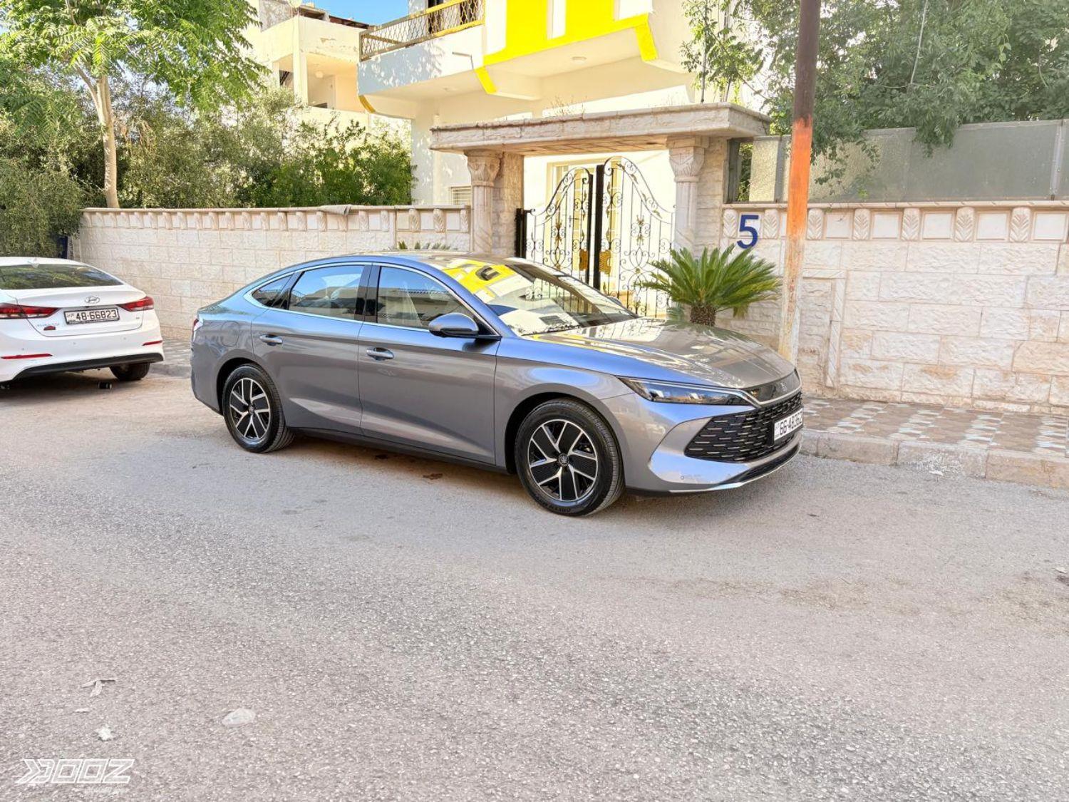 بي واي دي تشن ال دي ام-اي 2024 للبيع في الرمثا