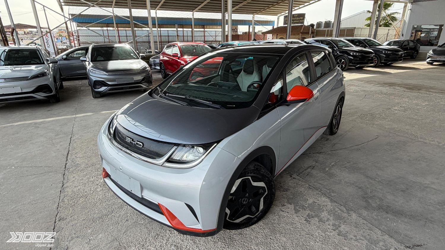 BYD Dolphin 2022 for sale in Amman