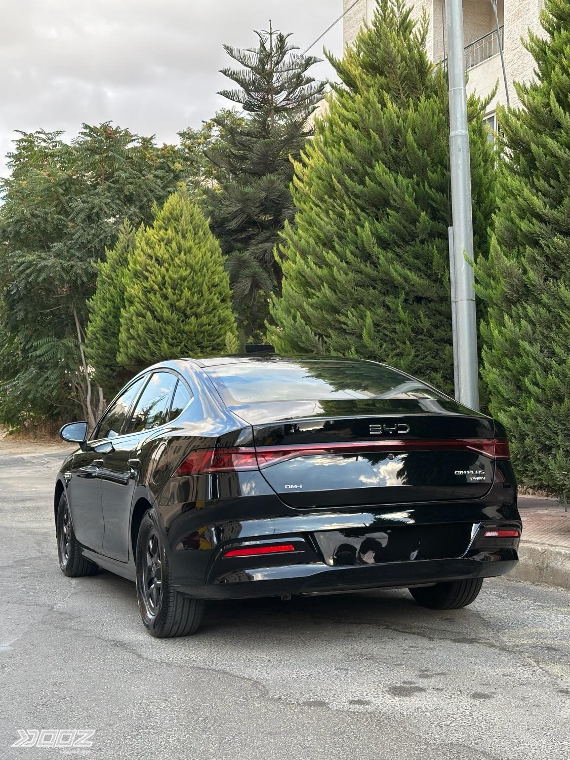 BYD QIN Plus DM-i 2026 for sale in Amman