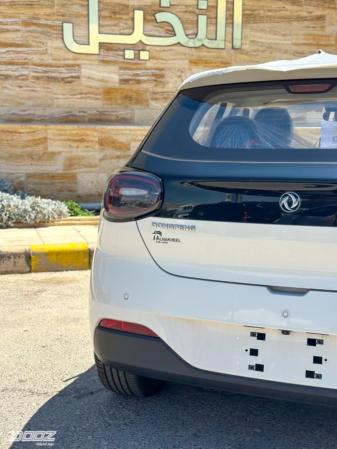 DongFeng BOX 2026 for sale in Zarqa-freezone