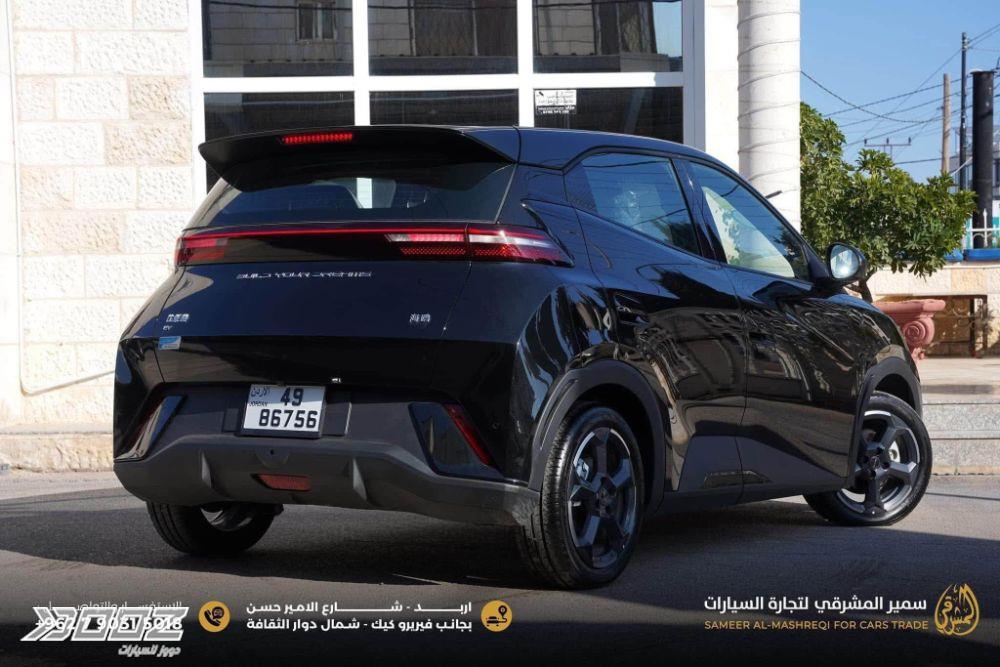 بي واي دي Seagull 2024 للبيع في إربد