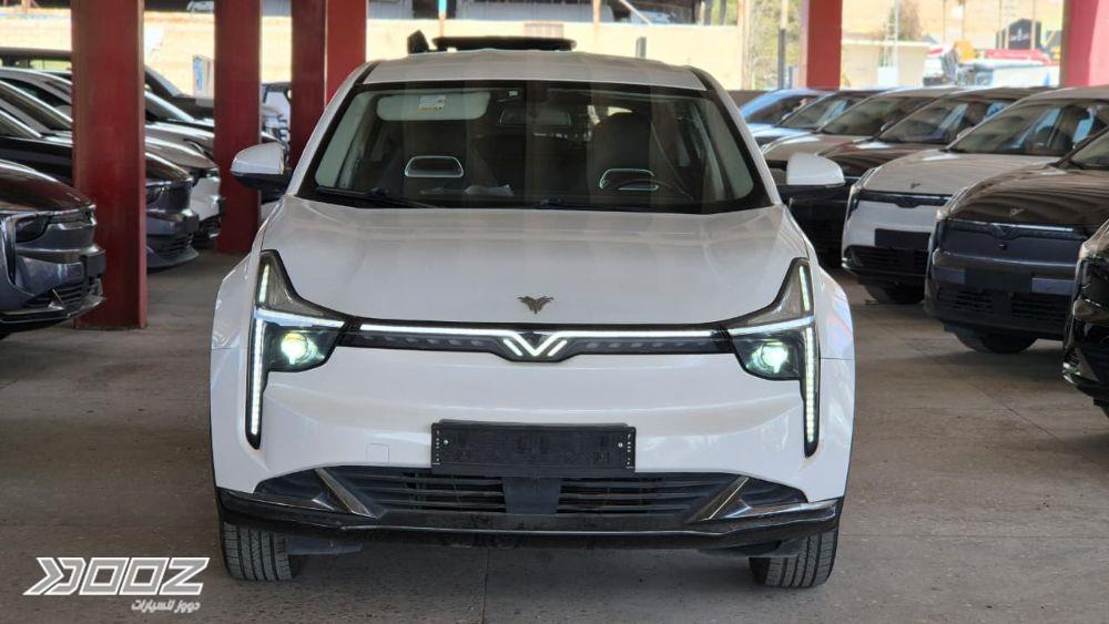 Neta U 2022 for sale in Amman