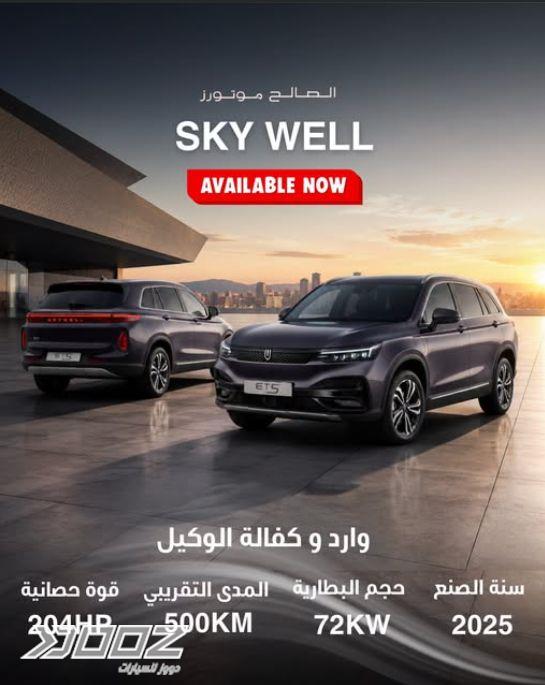 Skywell BE11 2025 for sale in Amman