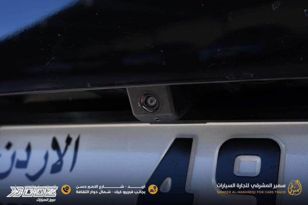 بي واي دي Seagull 2024 للبيع في إربد