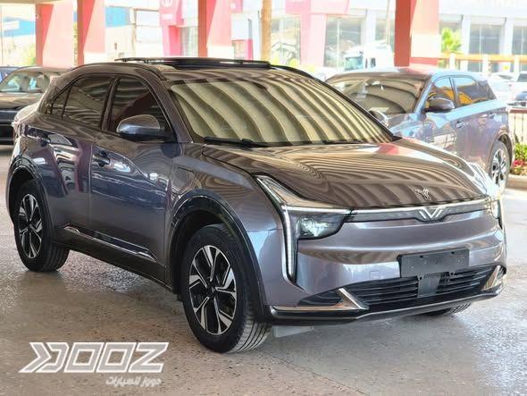 Neta U 2022 for sale in Amman