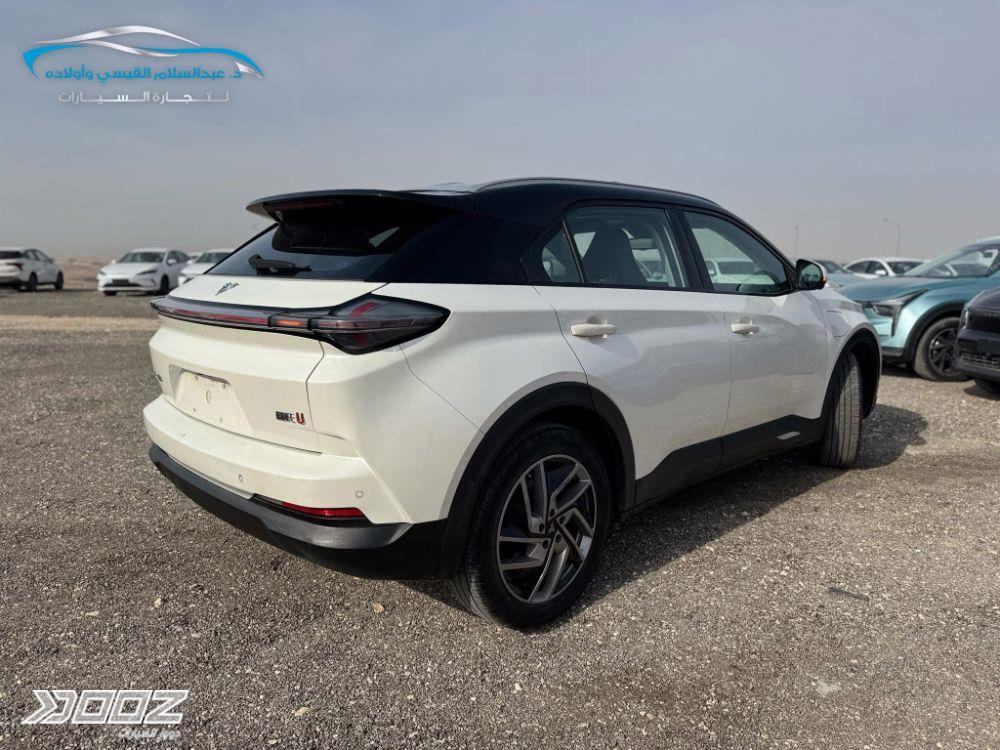 Neta U 2020 for sale in Zarqa-freezone