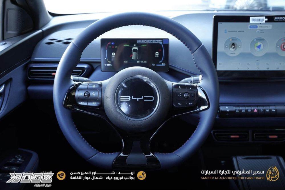بي واي دي Seagull 2024 للبيع في إربد