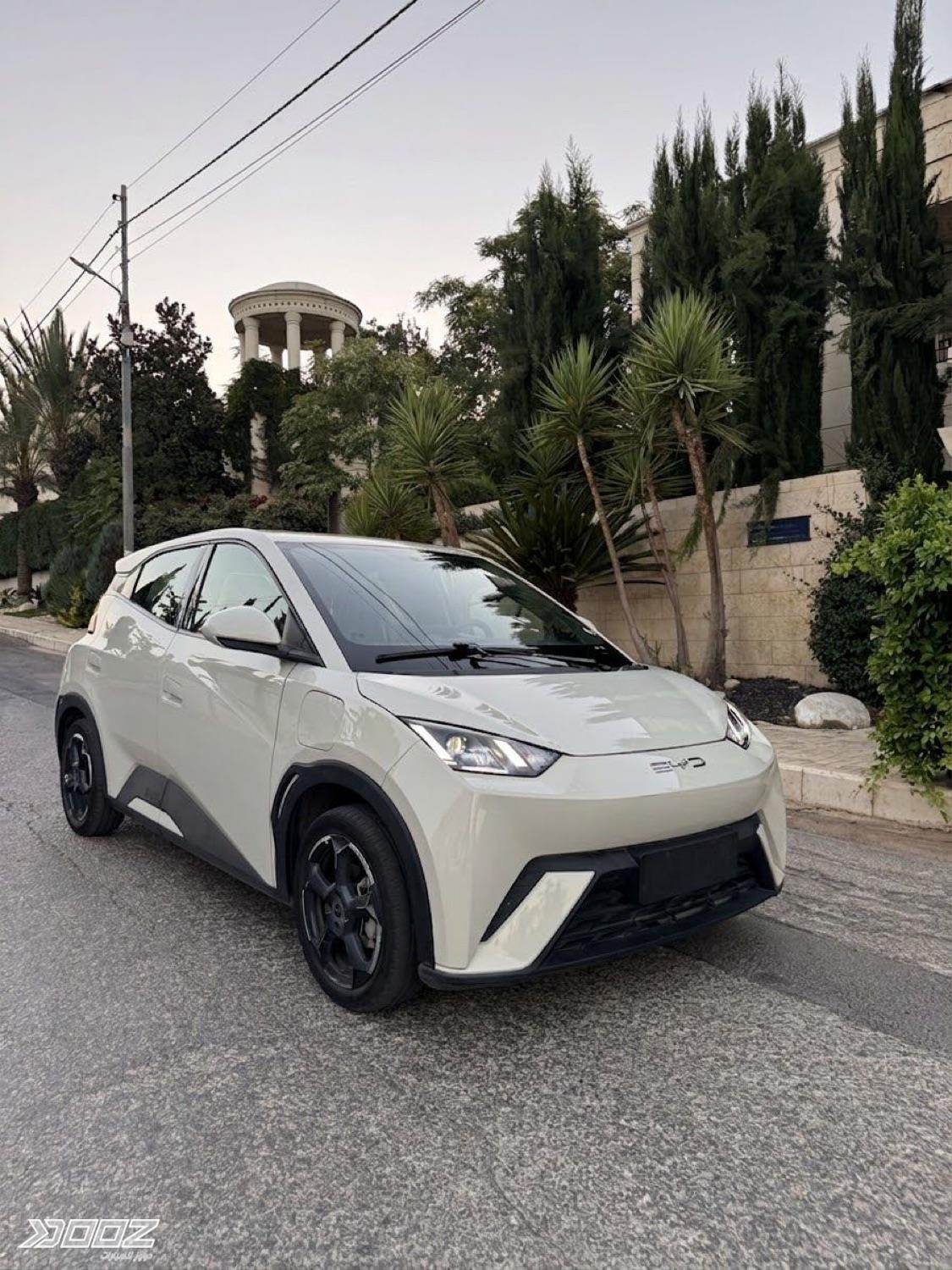 BYD Seagull 2024 for sale in Amman