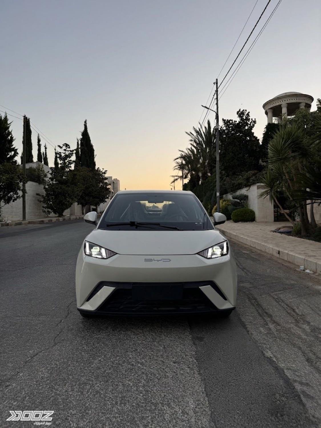 BYD Seagull 2024 for sale in Amman
