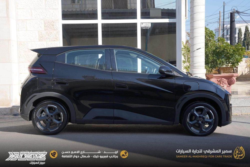بي واي دي Seagull 2024 للبيع في إربد