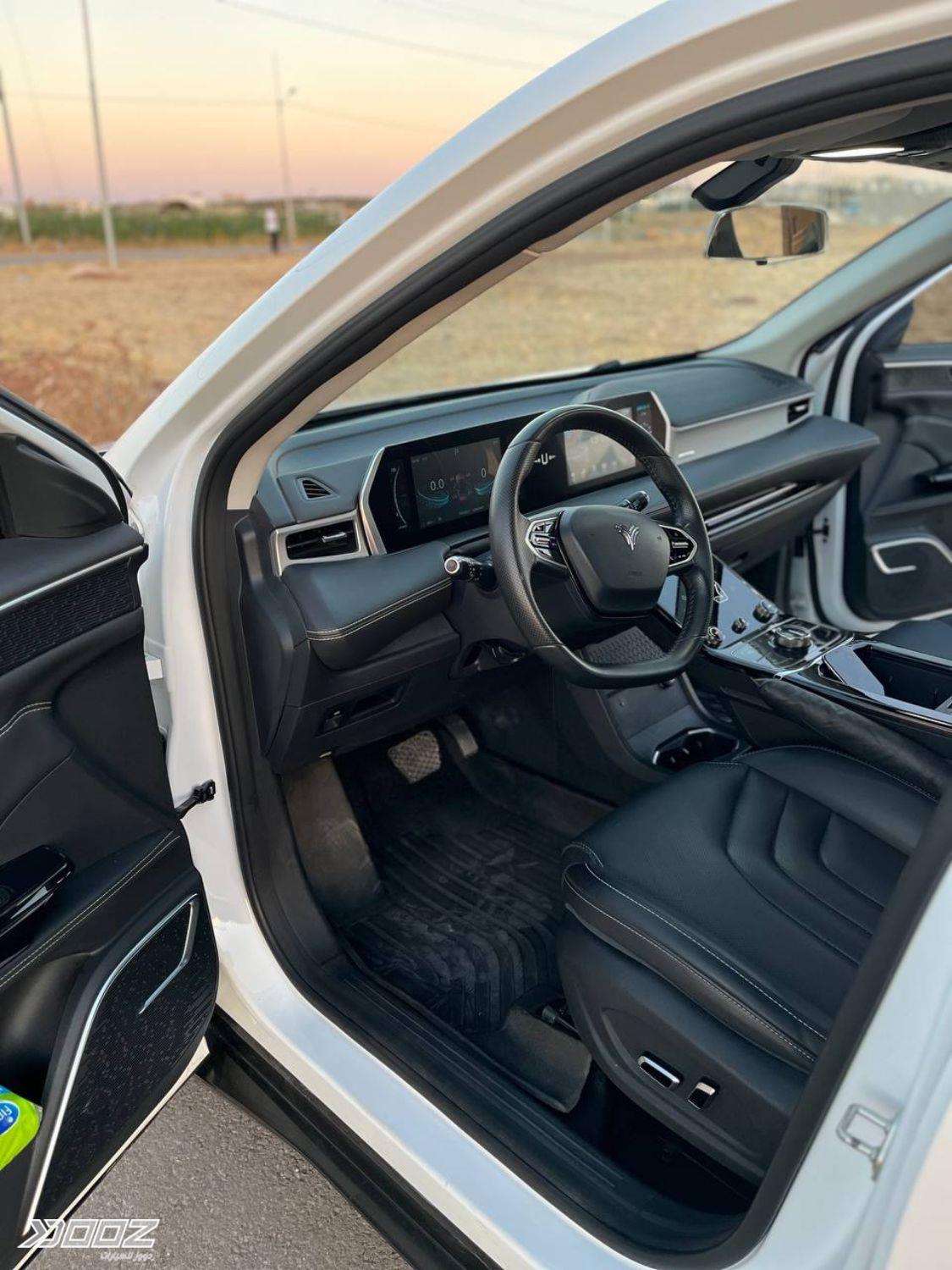 Neta U 2022 for sale in Irbid