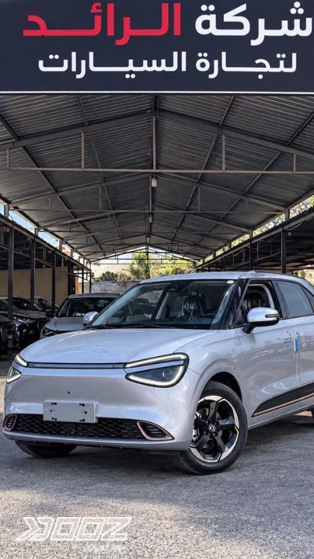 DongFeng BOX 2026 for sale in Amman