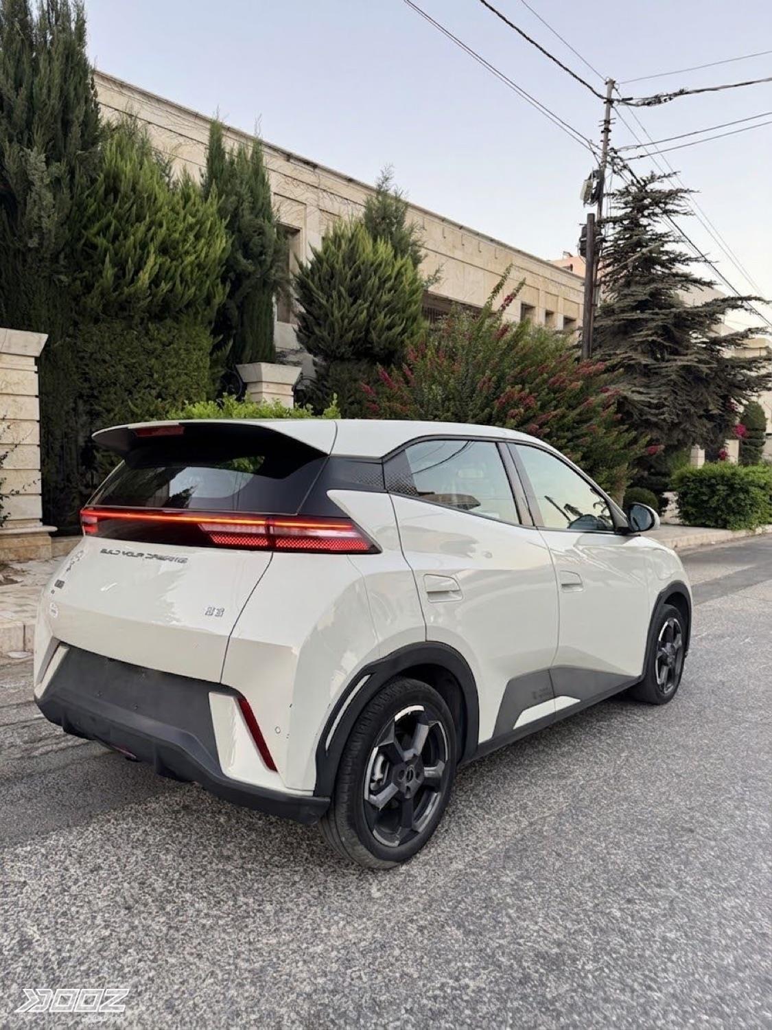 BYD Seagull 2024 for sale in Amman