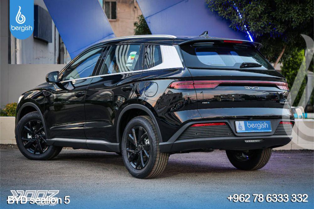 بي واي دي Sea Lion 05 DM-I 2027 للبيع في إربد
