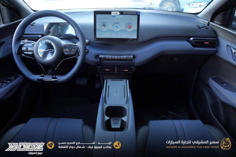 بي واي دي Seagull 2024 للبيع في إربد