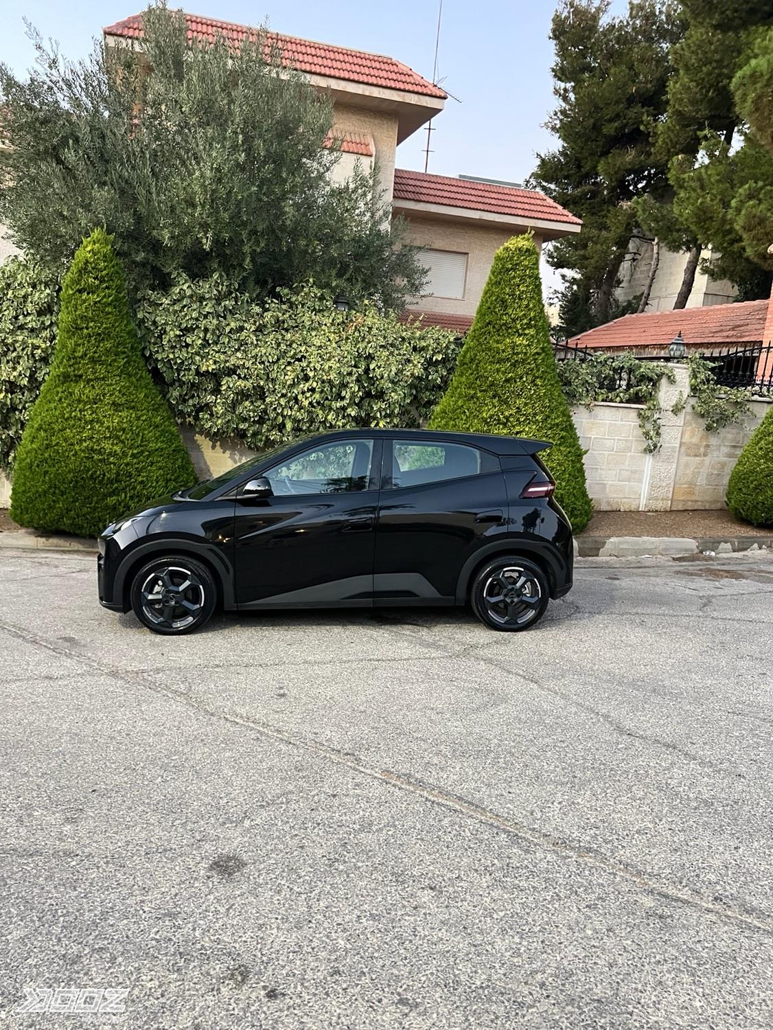 BYD Seagull 2023 for sale in Amman