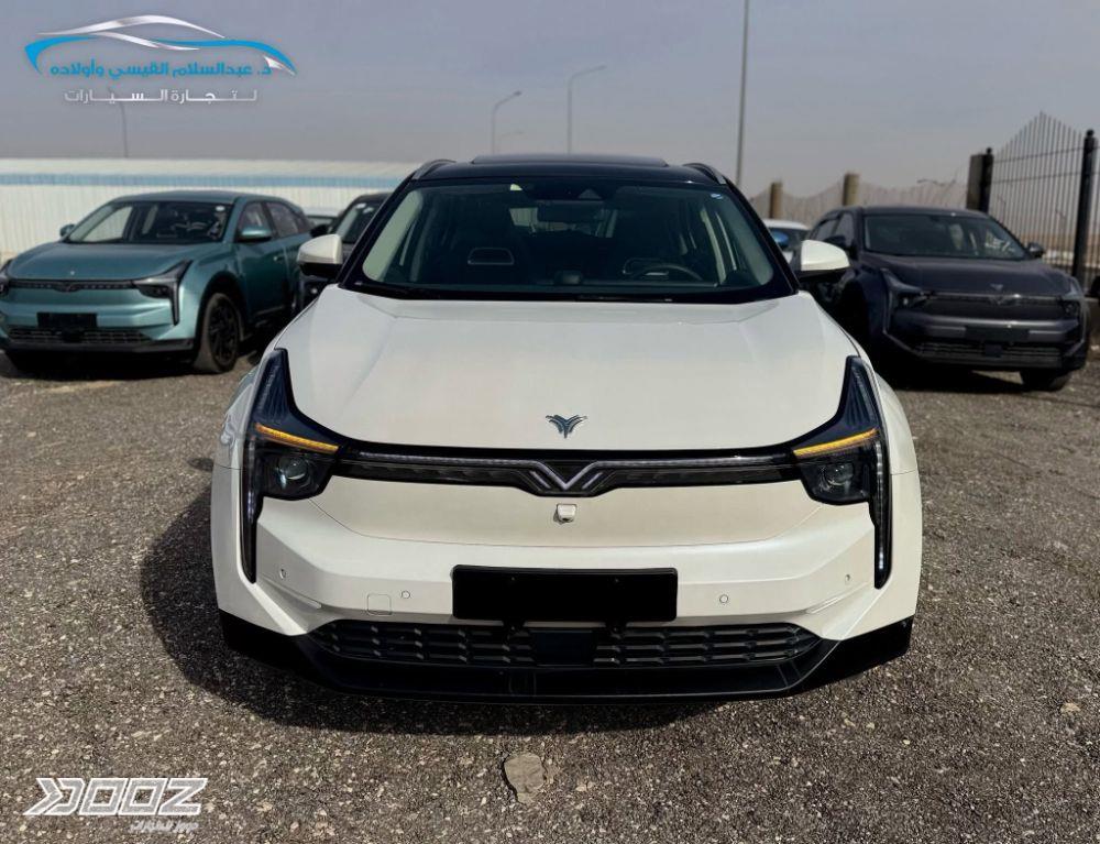 Neta U 2020 for sale in Zarqa-freezone