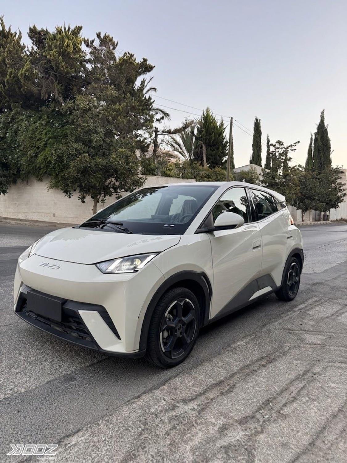 BYD Seagull 2024 for sale in Amman