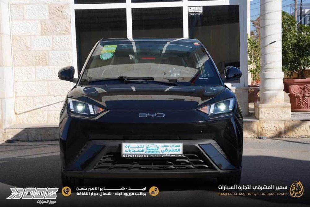 بي واي دي Seagull 2024 للبيع في إربد