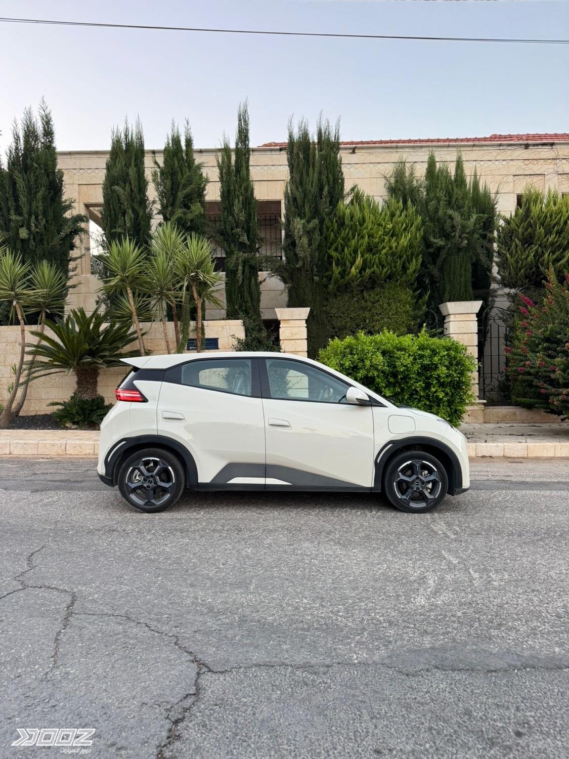 BYD Seagull 2024 for sale in Amman