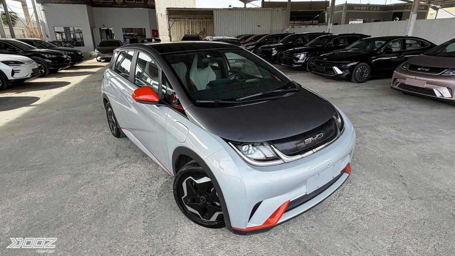 BYD Dolphin 2022 for sale in Amman
