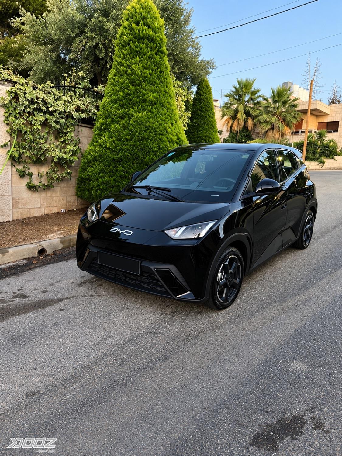 BYD Seagull 2023 for sale in Amman