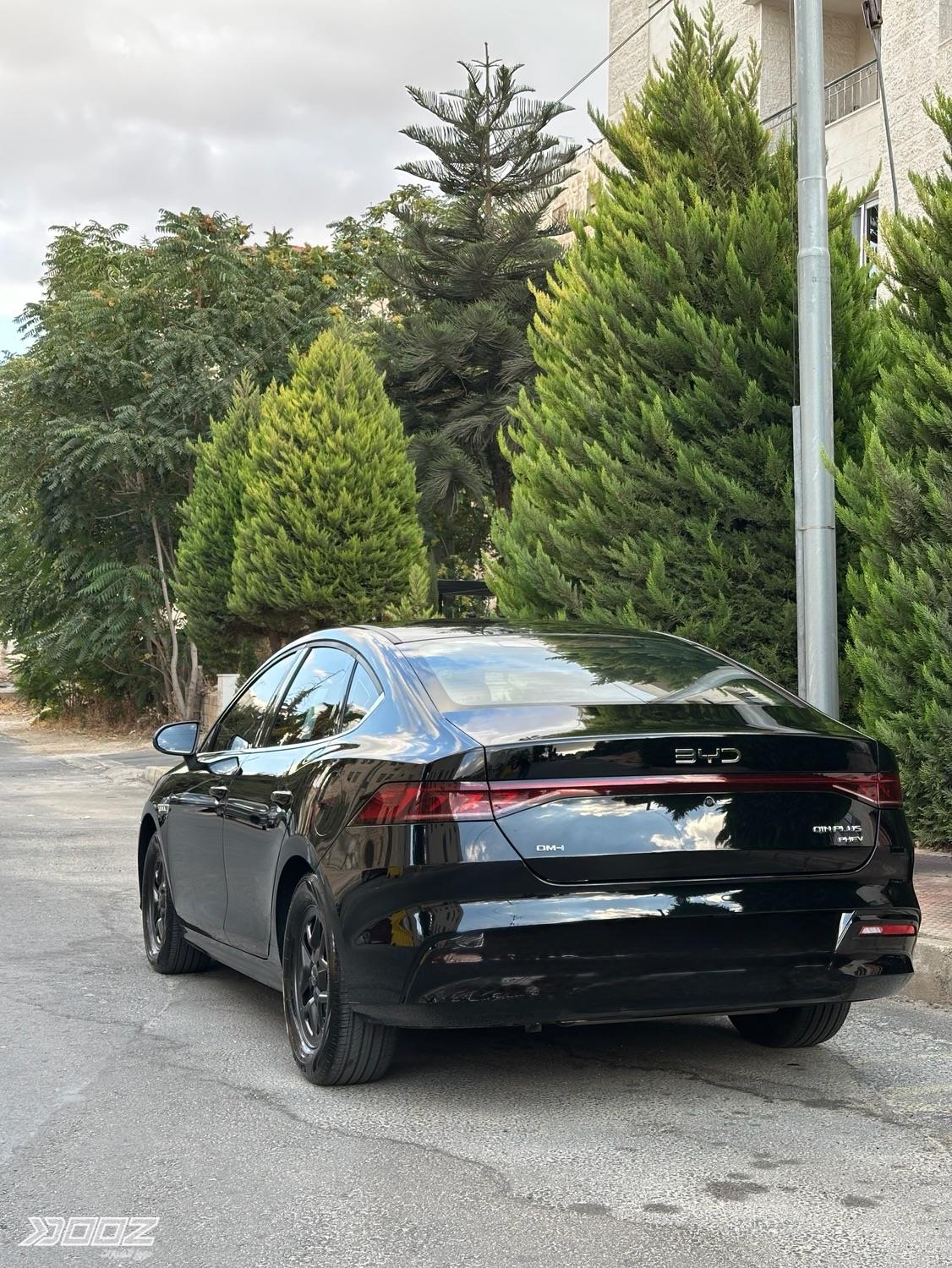 BYD QIN Plus DM-i 2026 for sale in Amman