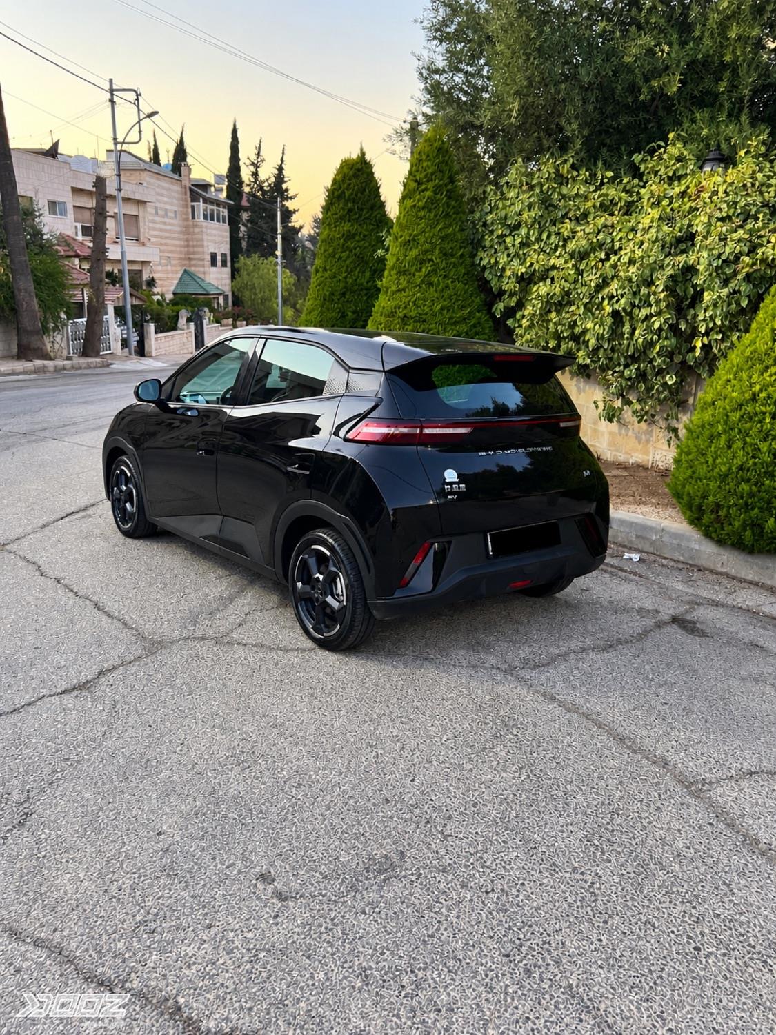 BYD Seagull 2023 for sale in Amman