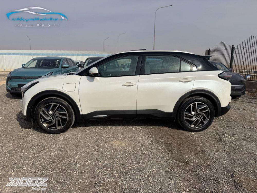 Neta U 2020 for sale in Zarqa-freezone
