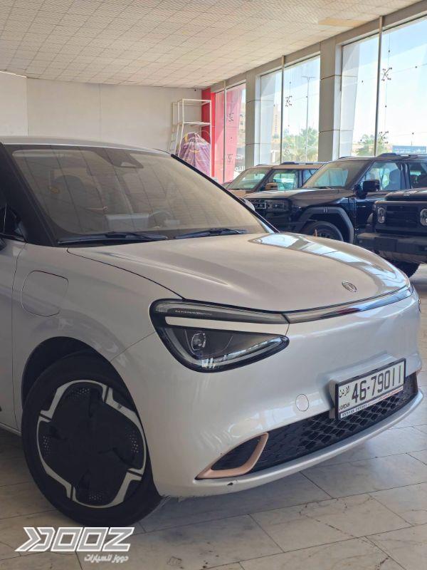 DongFeng BOX 2025 for sale in Zarqa-freezone