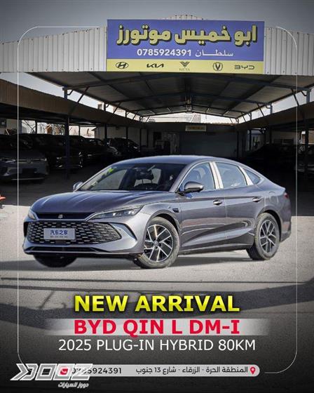 View details for this car