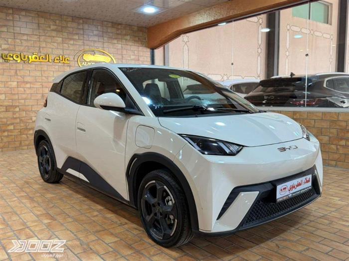 View details for this car