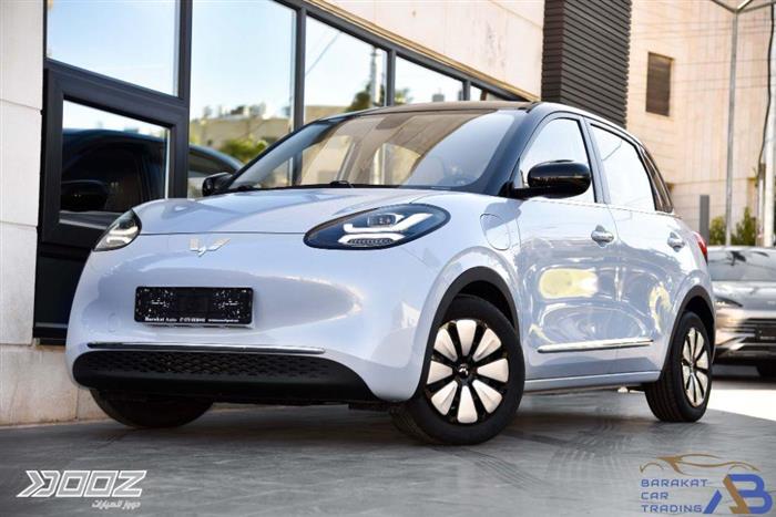 View details for this car