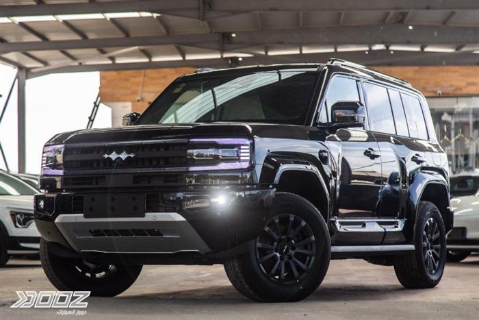 View details for this car