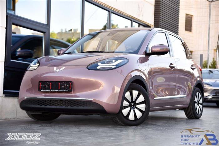 View details for this car