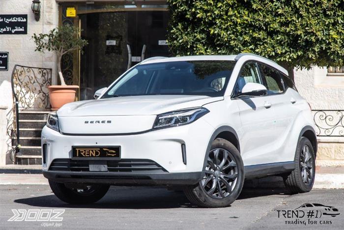 View details for this car